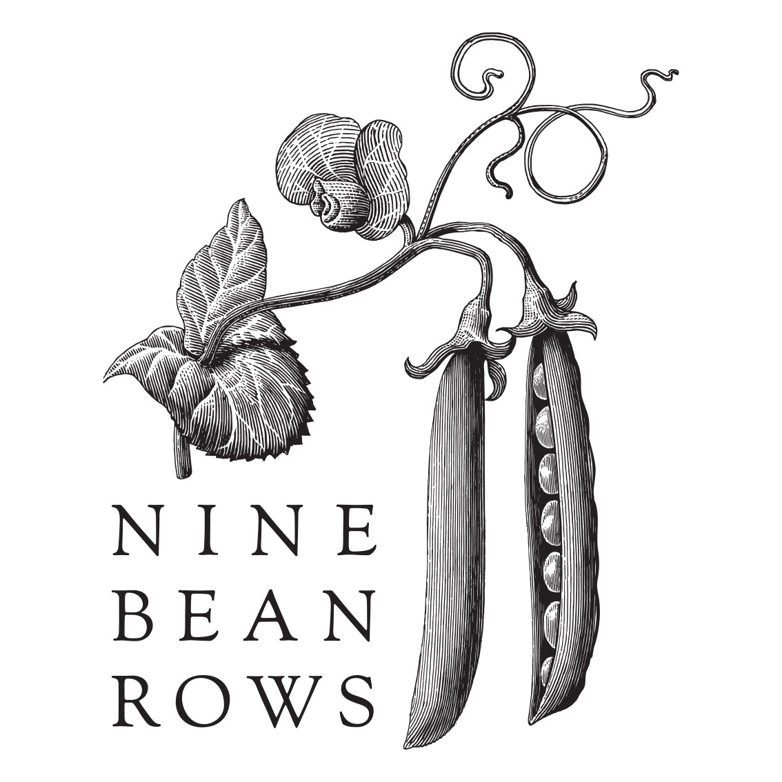 Our Story – Nine Bean Rows