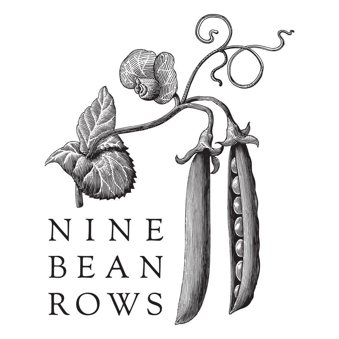 Nine Bean Rows logo